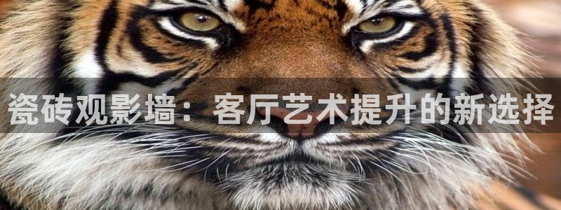 橘子視頻.：瓷磚觀影墻：客廳藝術(shù)提升的新選擇