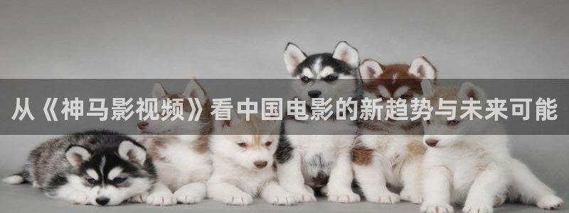 橘子視頻電視版下載：從《神馬影視頻》看中國(guó)電影的新趨勢(shì)與未來(lái)可能