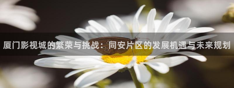 橘子了：廈門影視城的繁榮與挑戰(zhàn)：同安片區(qū)的發(fā)展機(jī)遇與未來(lái)規(guī)劃